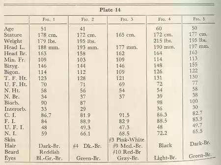 Plate 14
